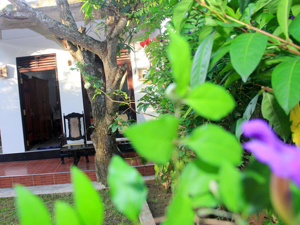 Lotus Villa Mirissa Luaran gambar