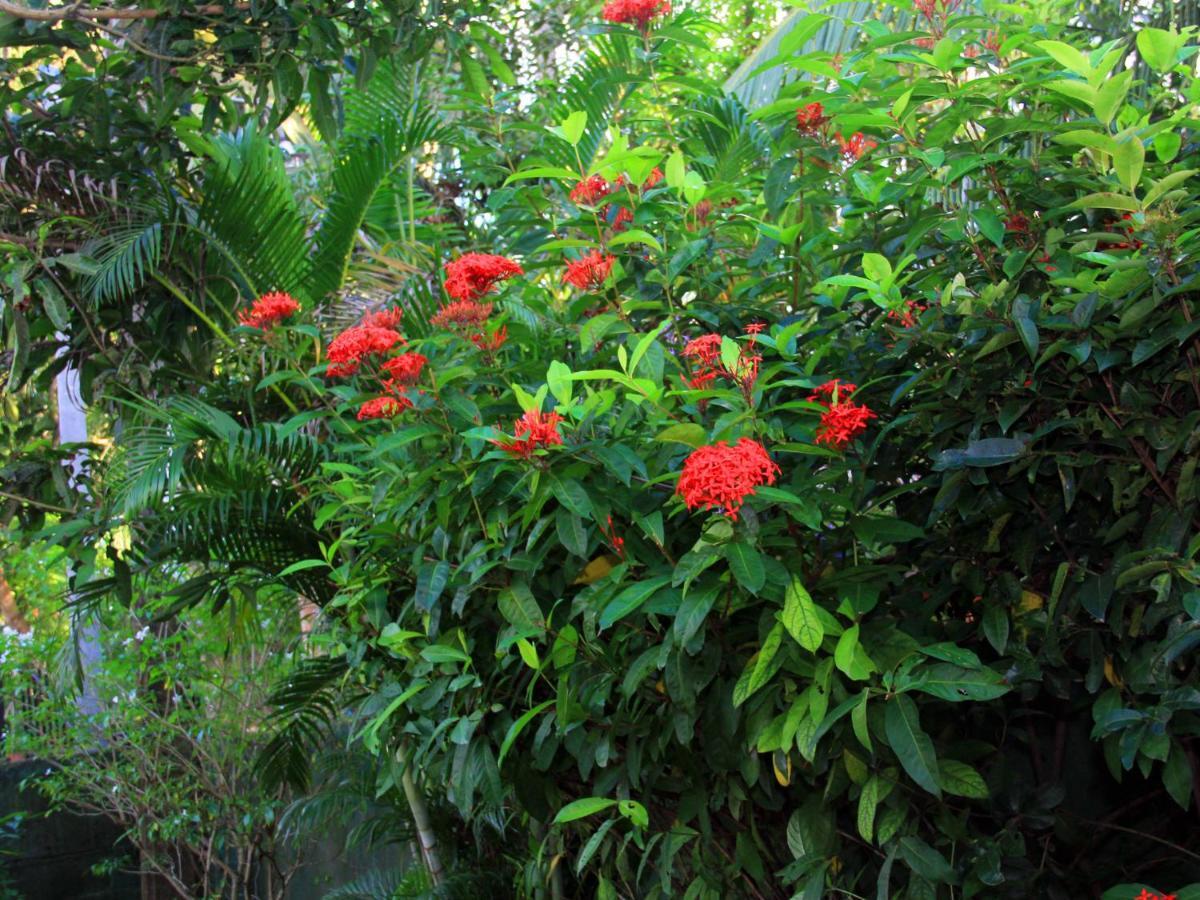 Lotus Villa Mirissa Luaran gambar